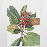 PO-045W060