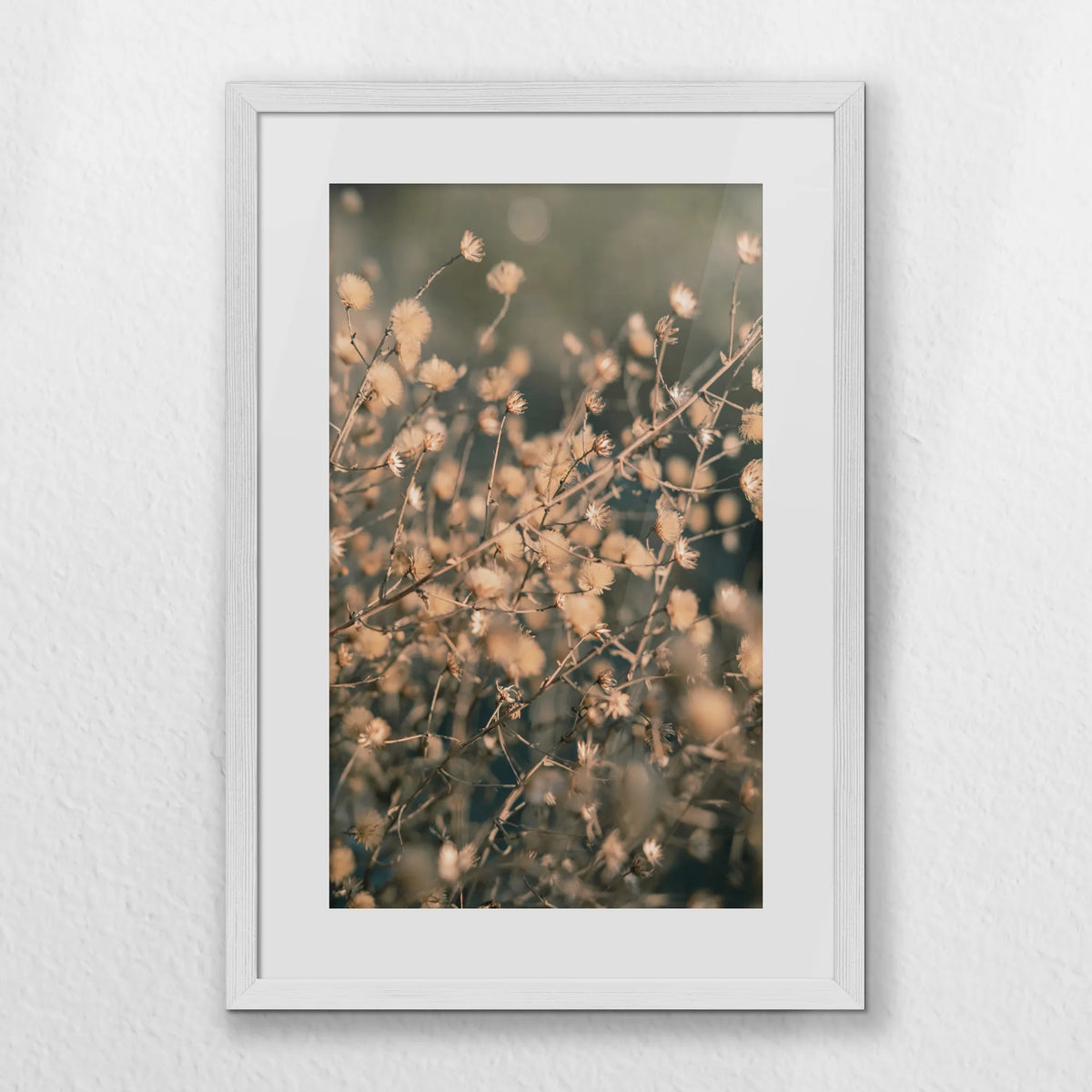 PWP040W060