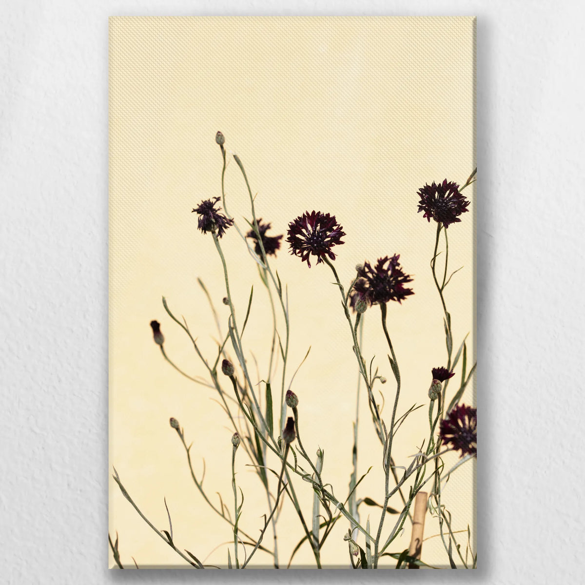 LW-050W075