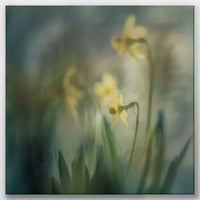 LW-060W060