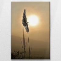 LW-080W120