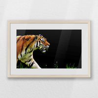 PNP060W040