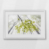 PWP060W040