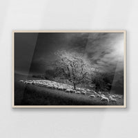 PN-093W062