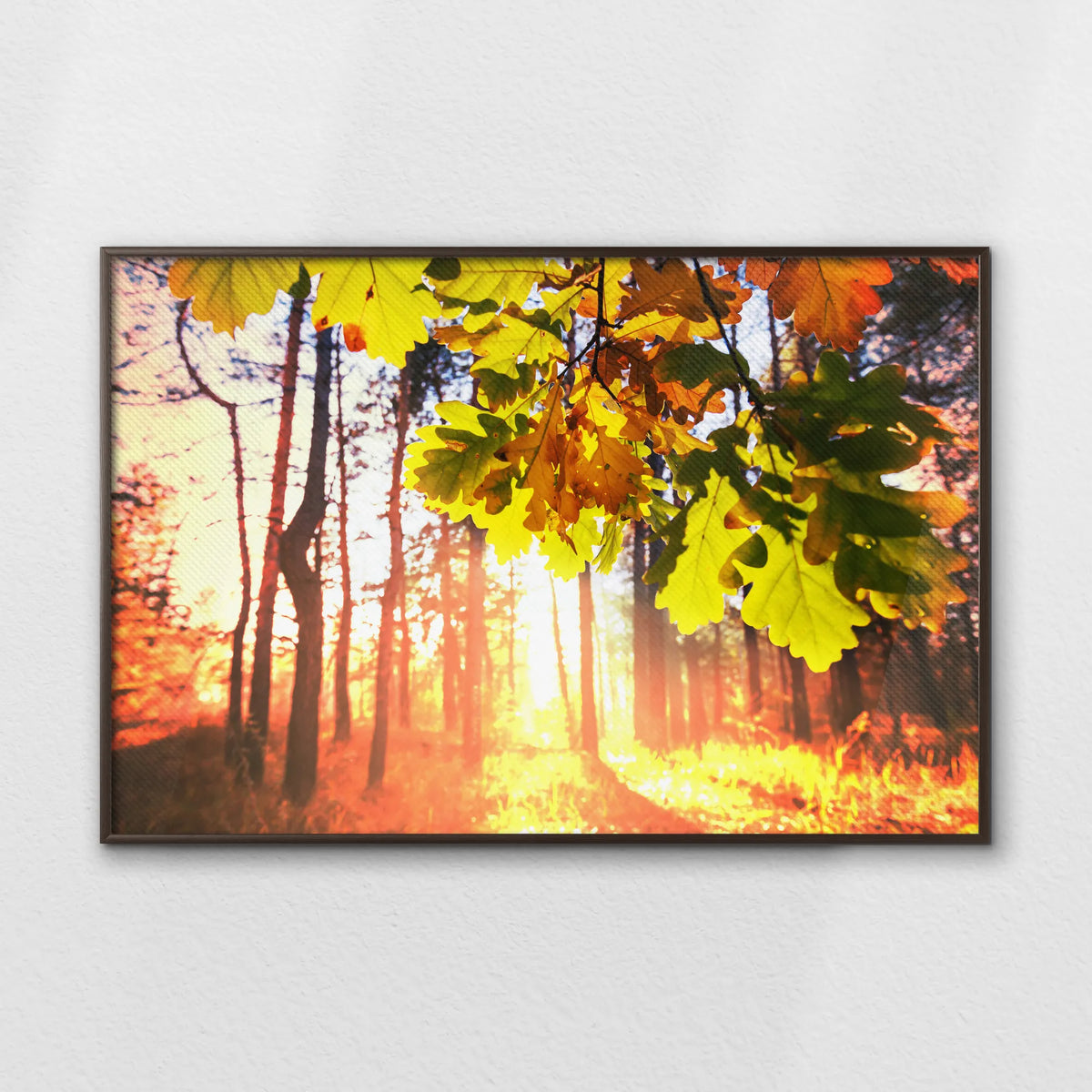 LWN120W080
