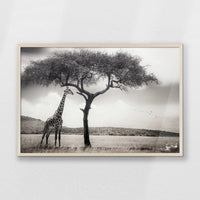 PN-093W062