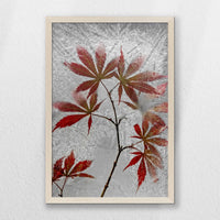 PN-040W060