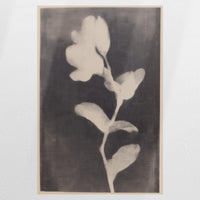 PO-060W090