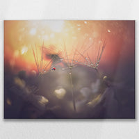 LW-080W060