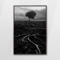 LWN080W120