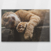 AL-060W040