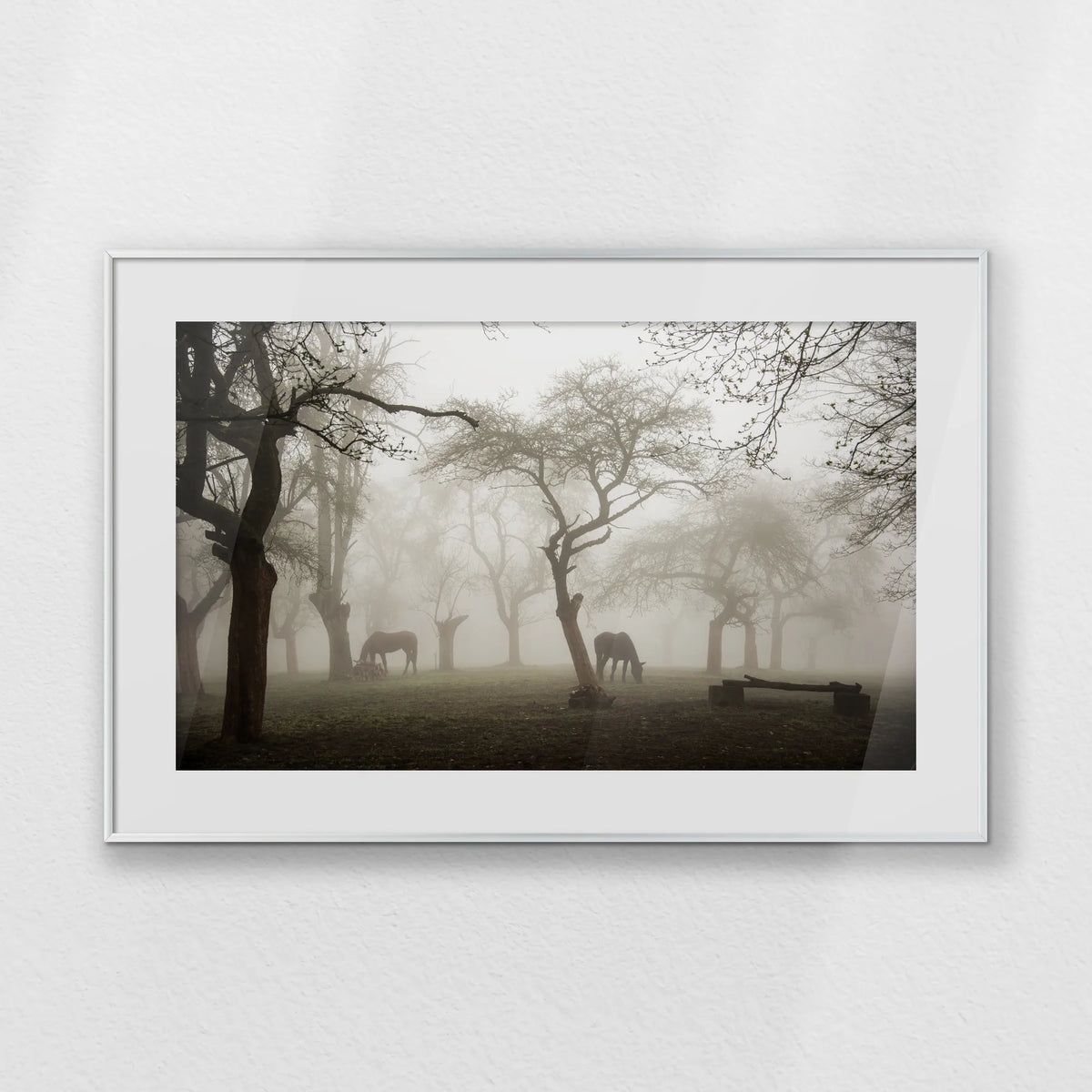 PSP093W062