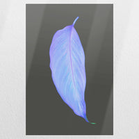 PO-030W045