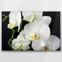 LW-060W040