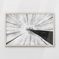 PN-093W062