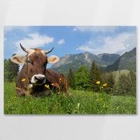 AL-075W050