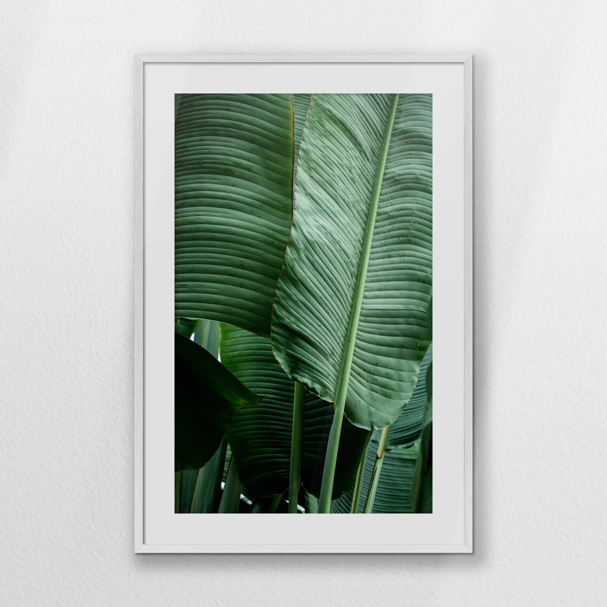 PWP070W100