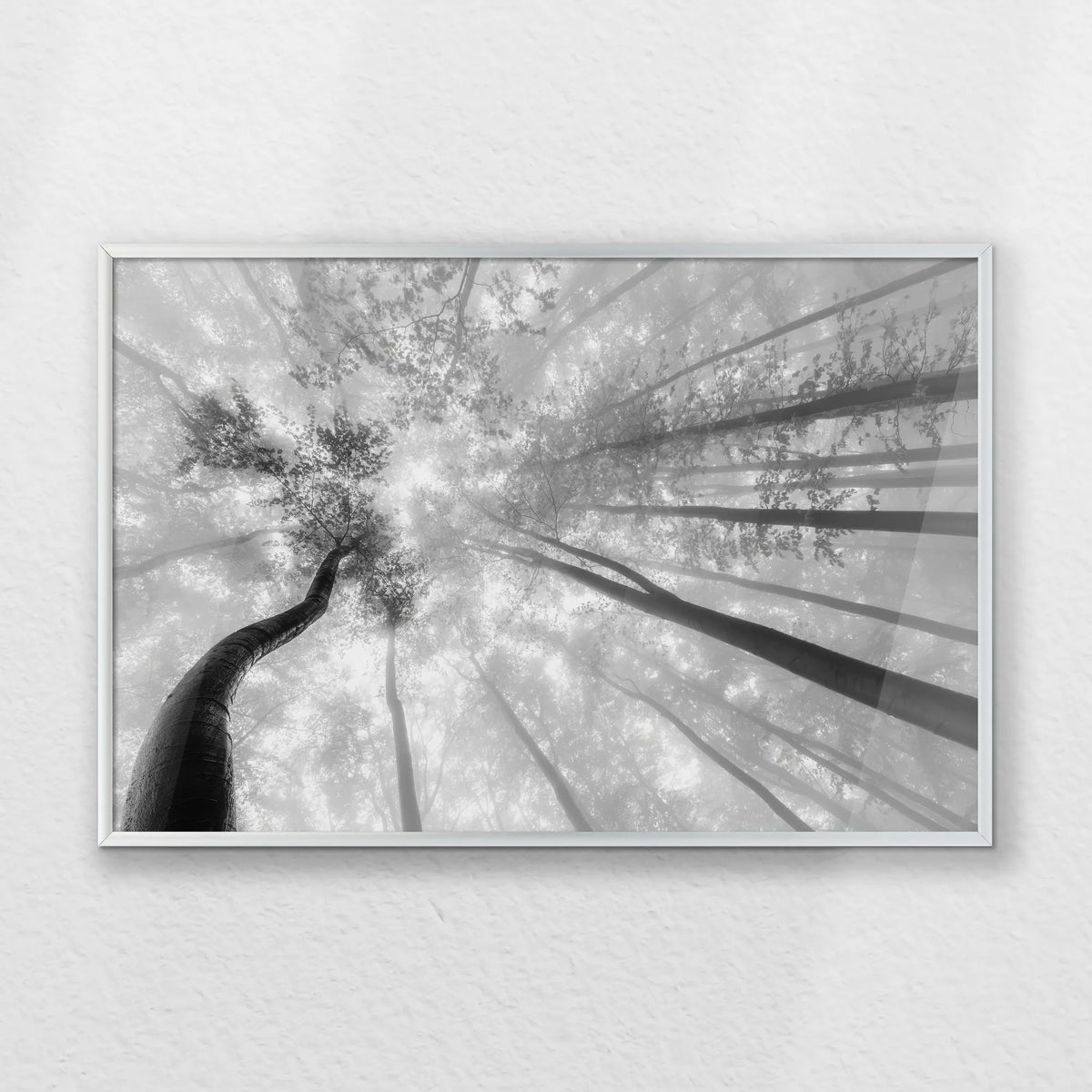 PS-060W040