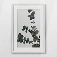 PWP040W060
