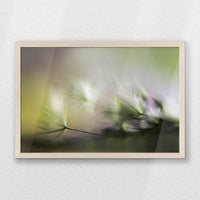PN-060W040