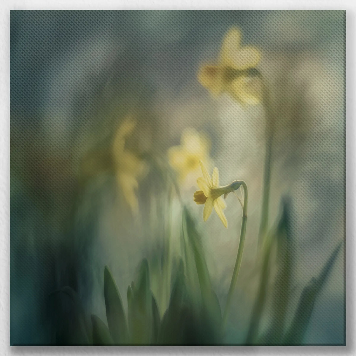 LW-040W040