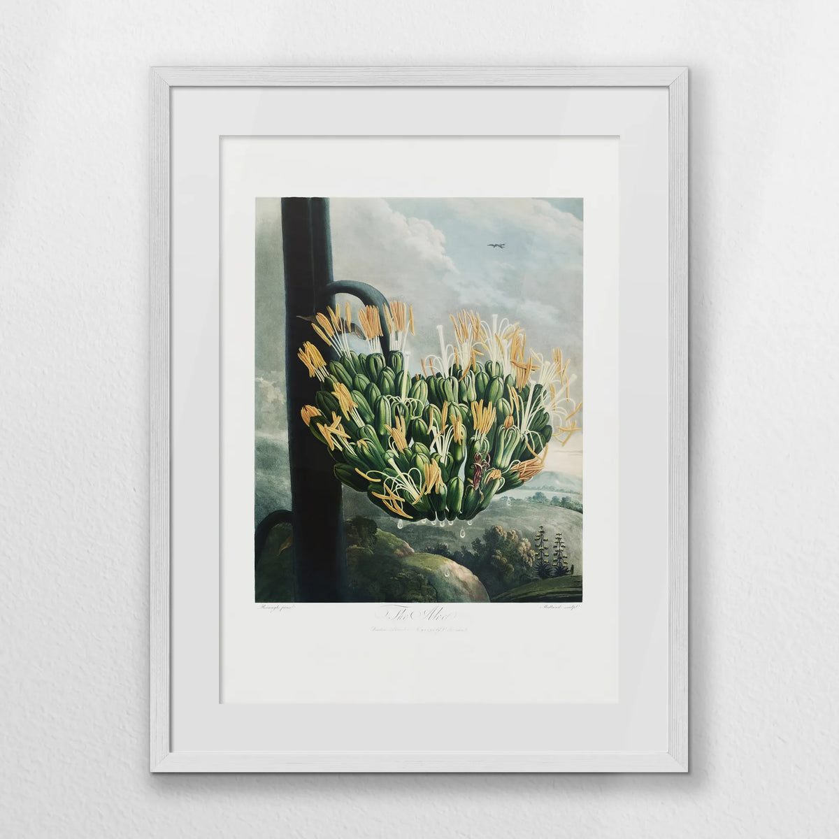 PWP050W070
