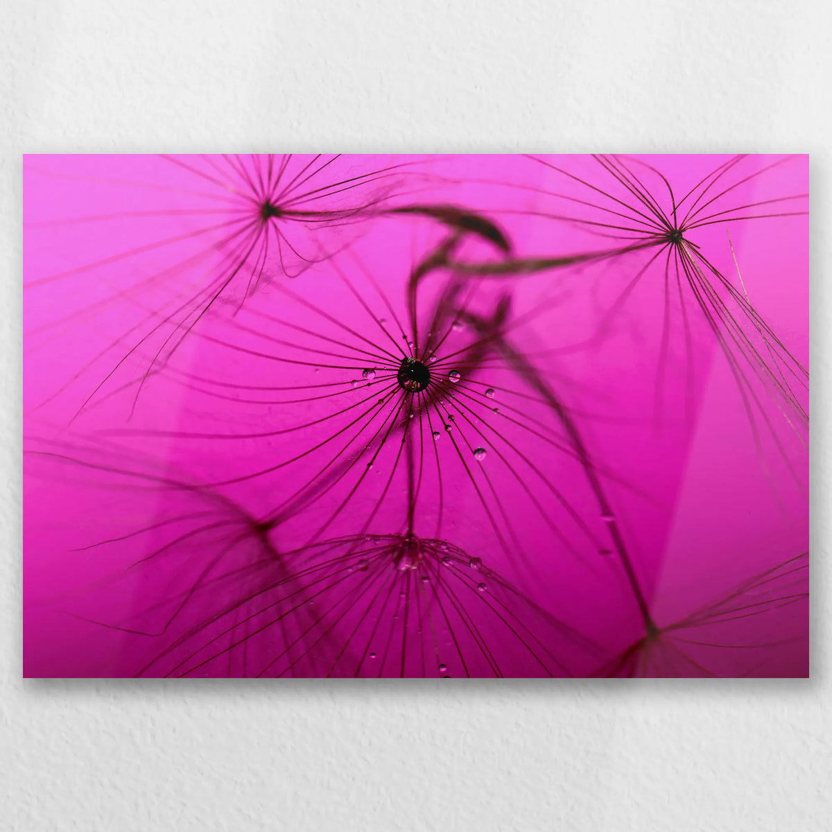 AL-030W020