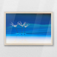 PN-060W040
