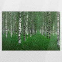 PO-045W030