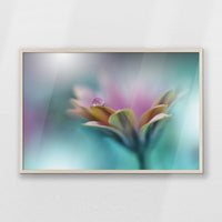 PN-093W062
