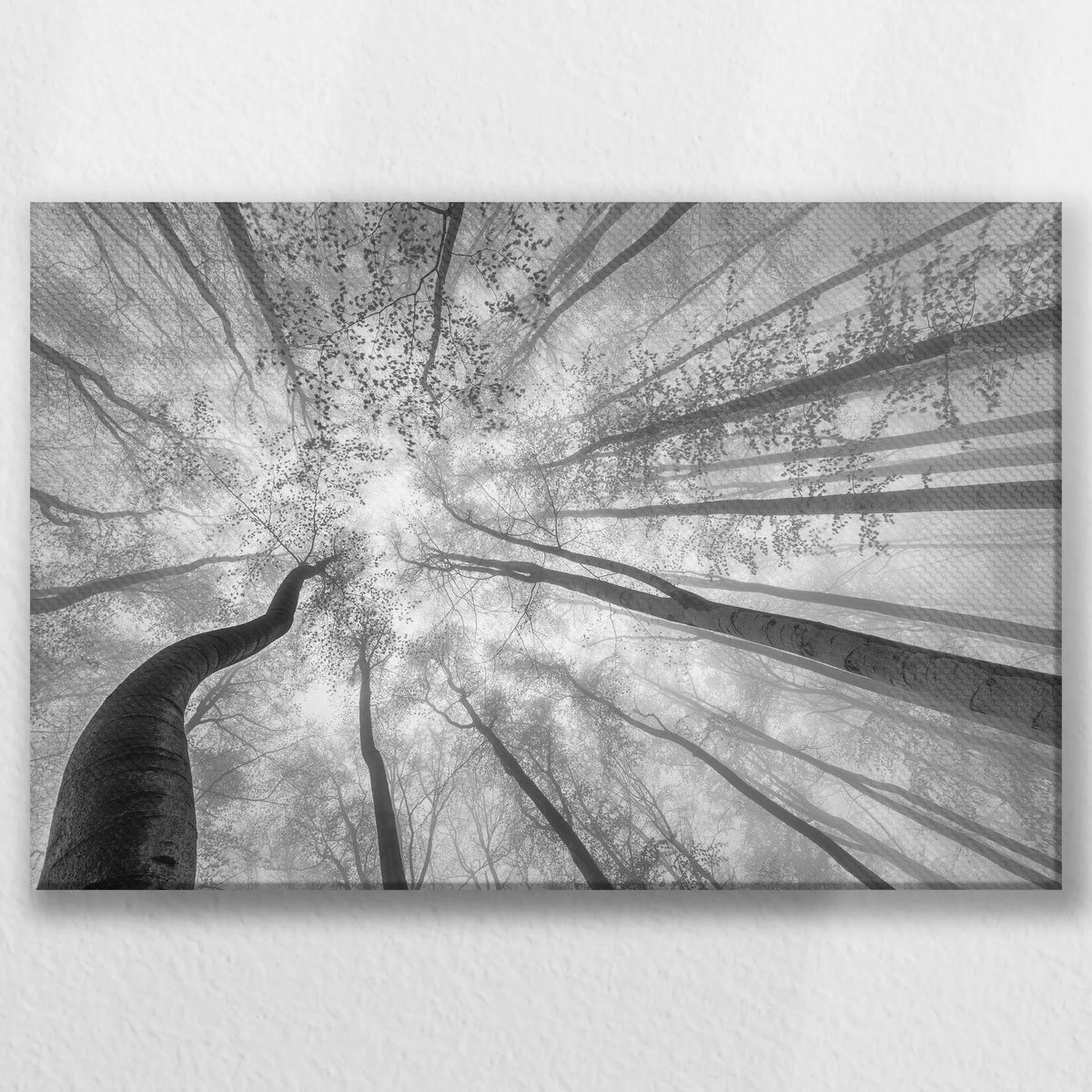 LW-045W030