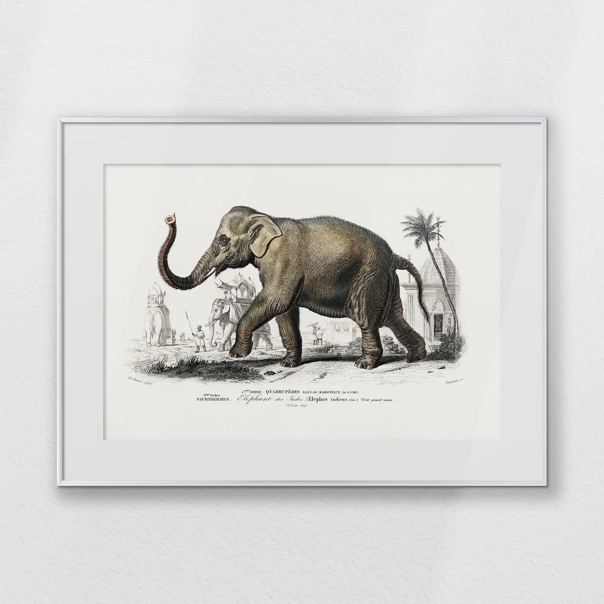 PSP080W060
