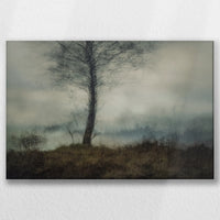LW-030W020