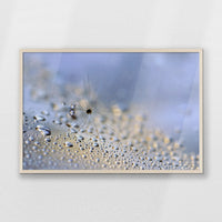 PN-093W062