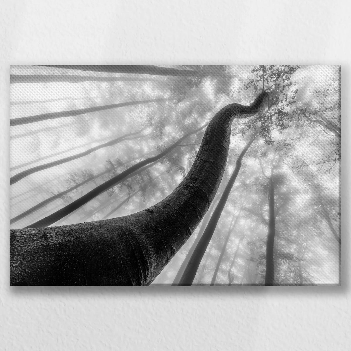 LW-030W020