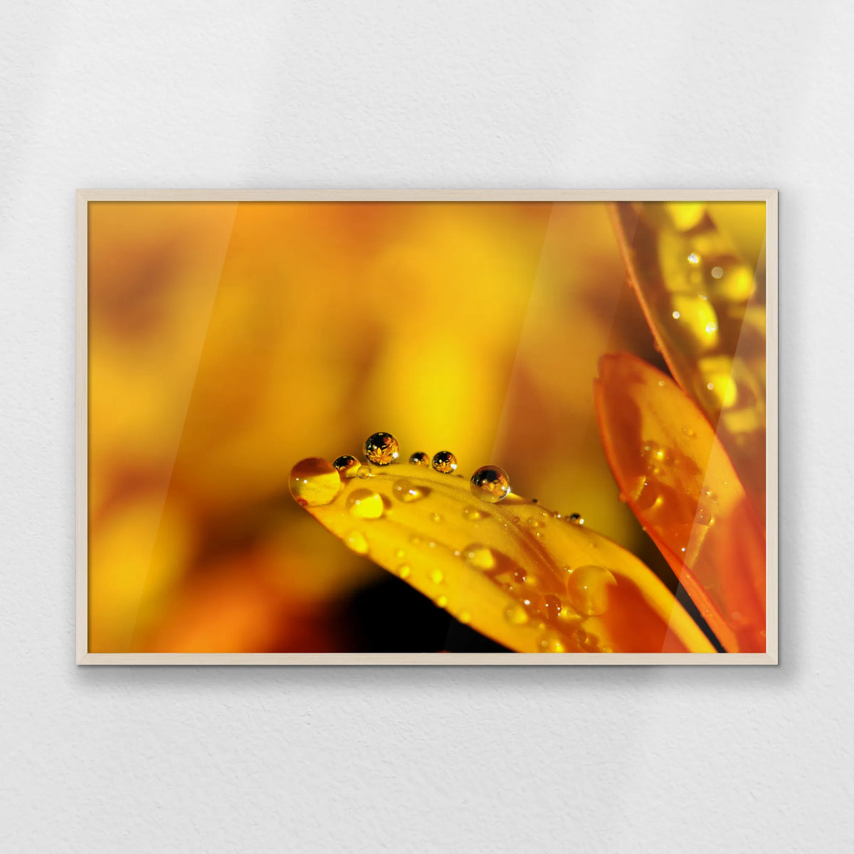 PN-100W070
