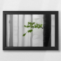 LWB030W020