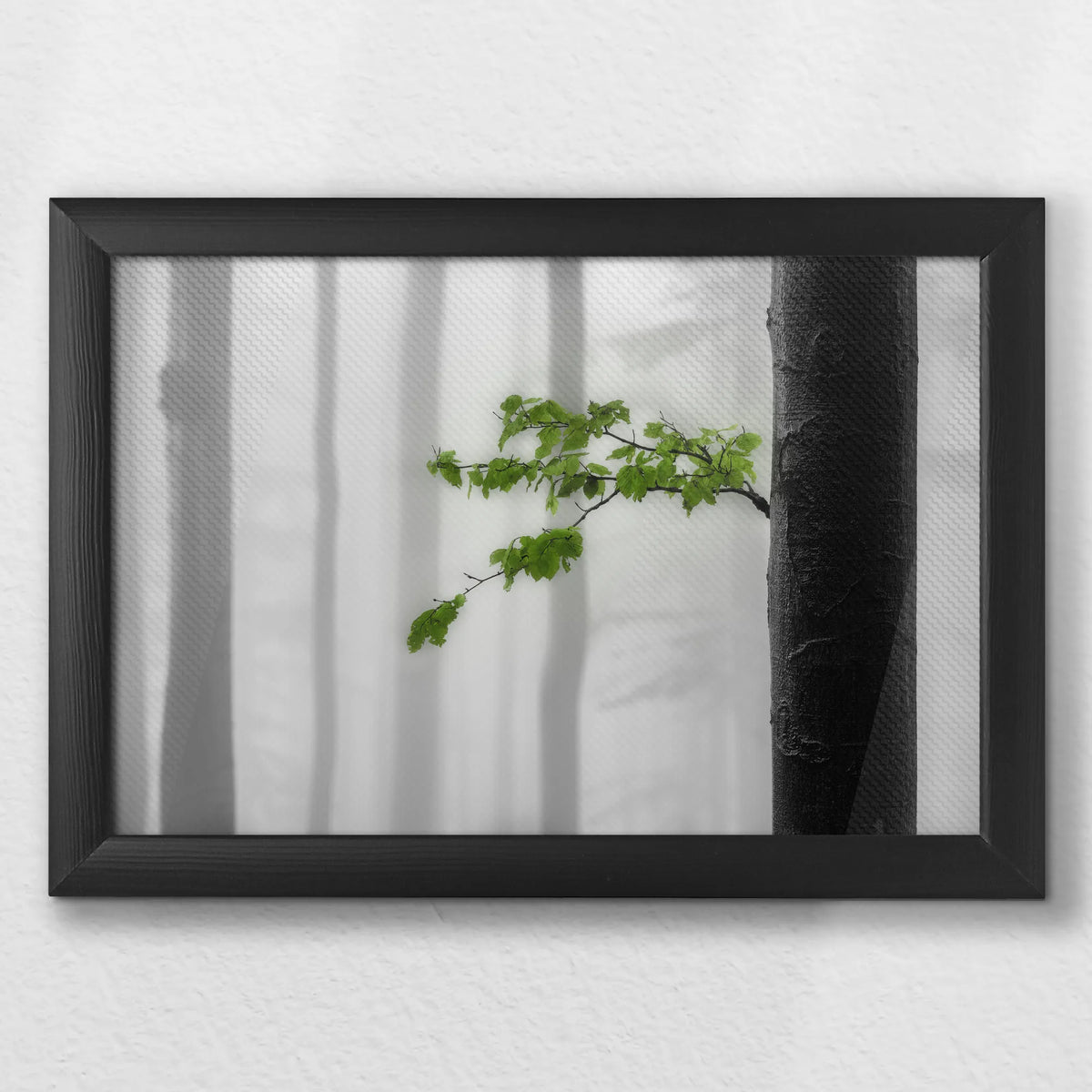 LWB030W020