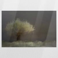 PO-060W040