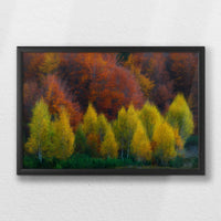 LWB060W040