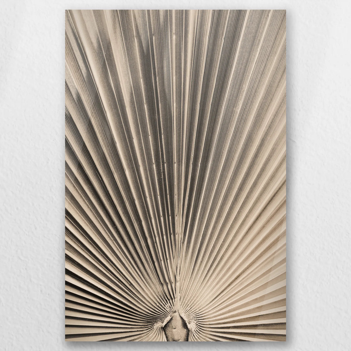 AC-020W030