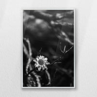 PS-040W060