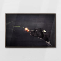 LWN100W070