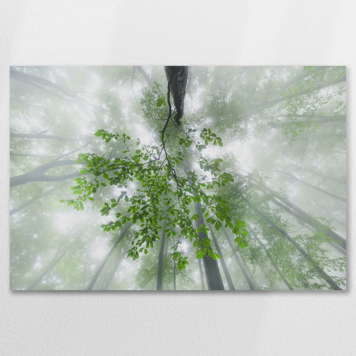 AL-090W060