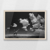 PN-060W040