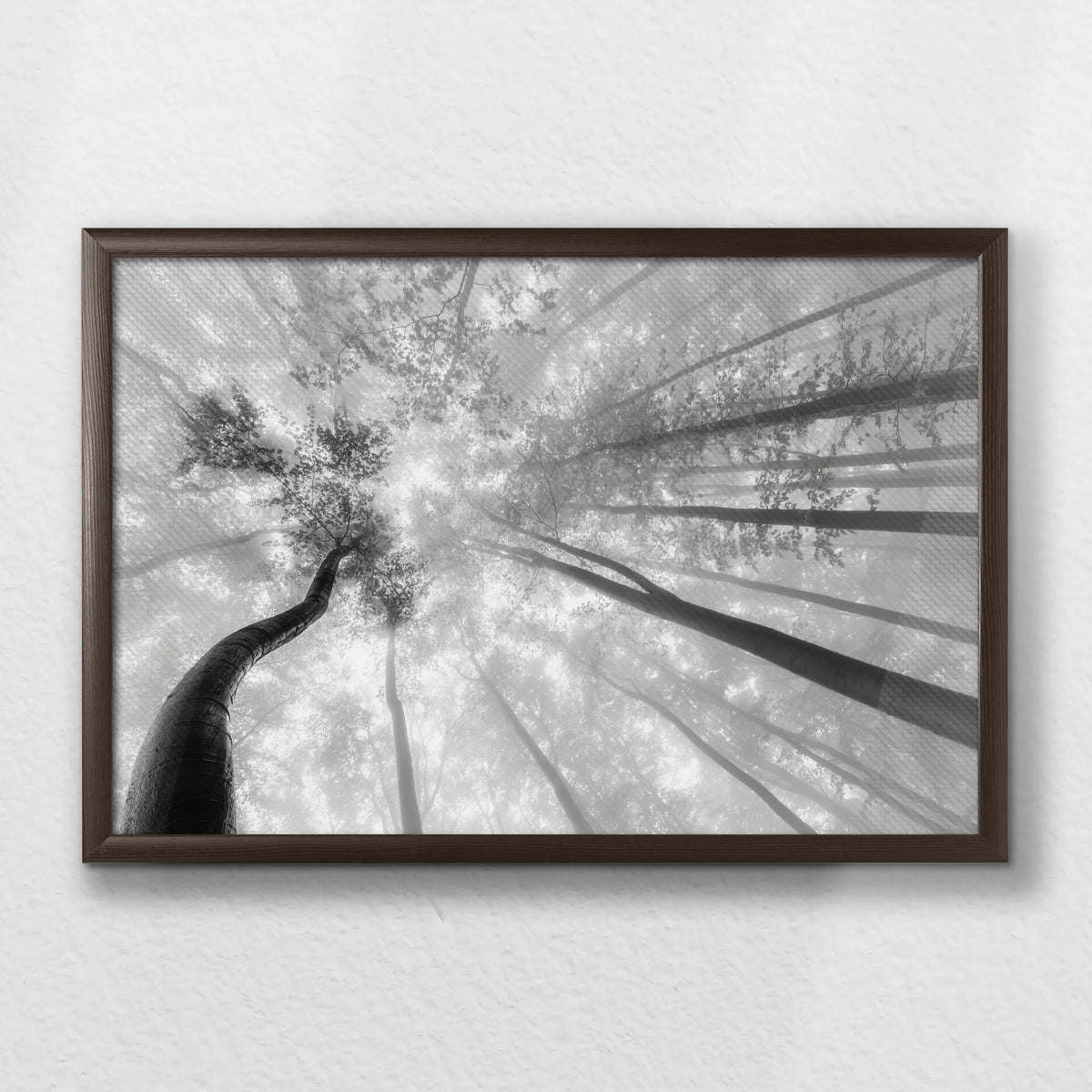 LWN060W040