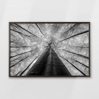 LWN100W070