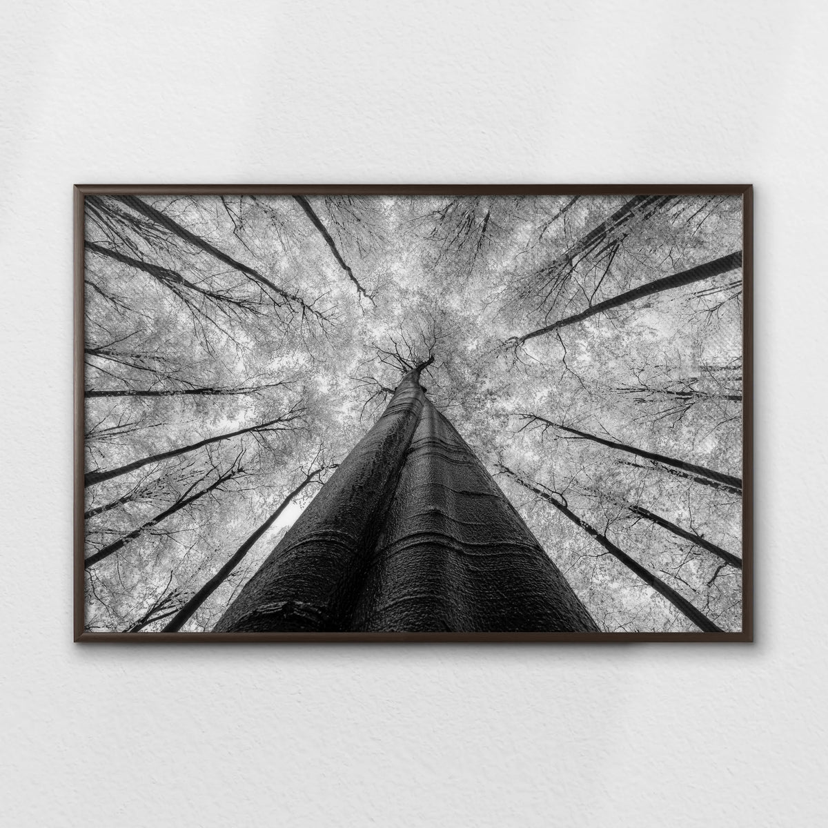 LWN100W070