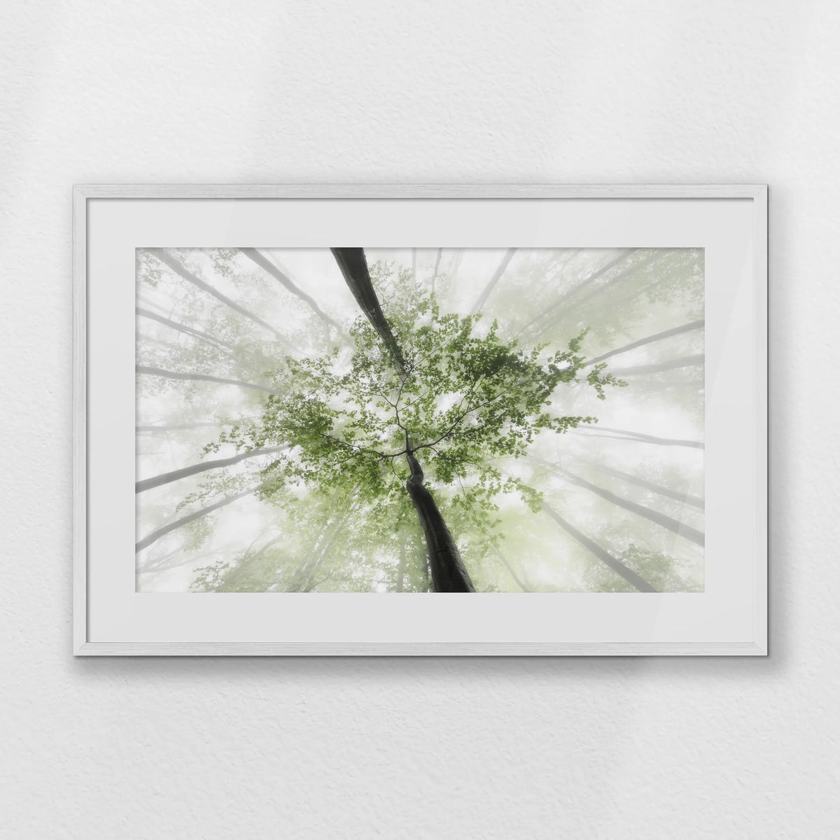 PWP093W062