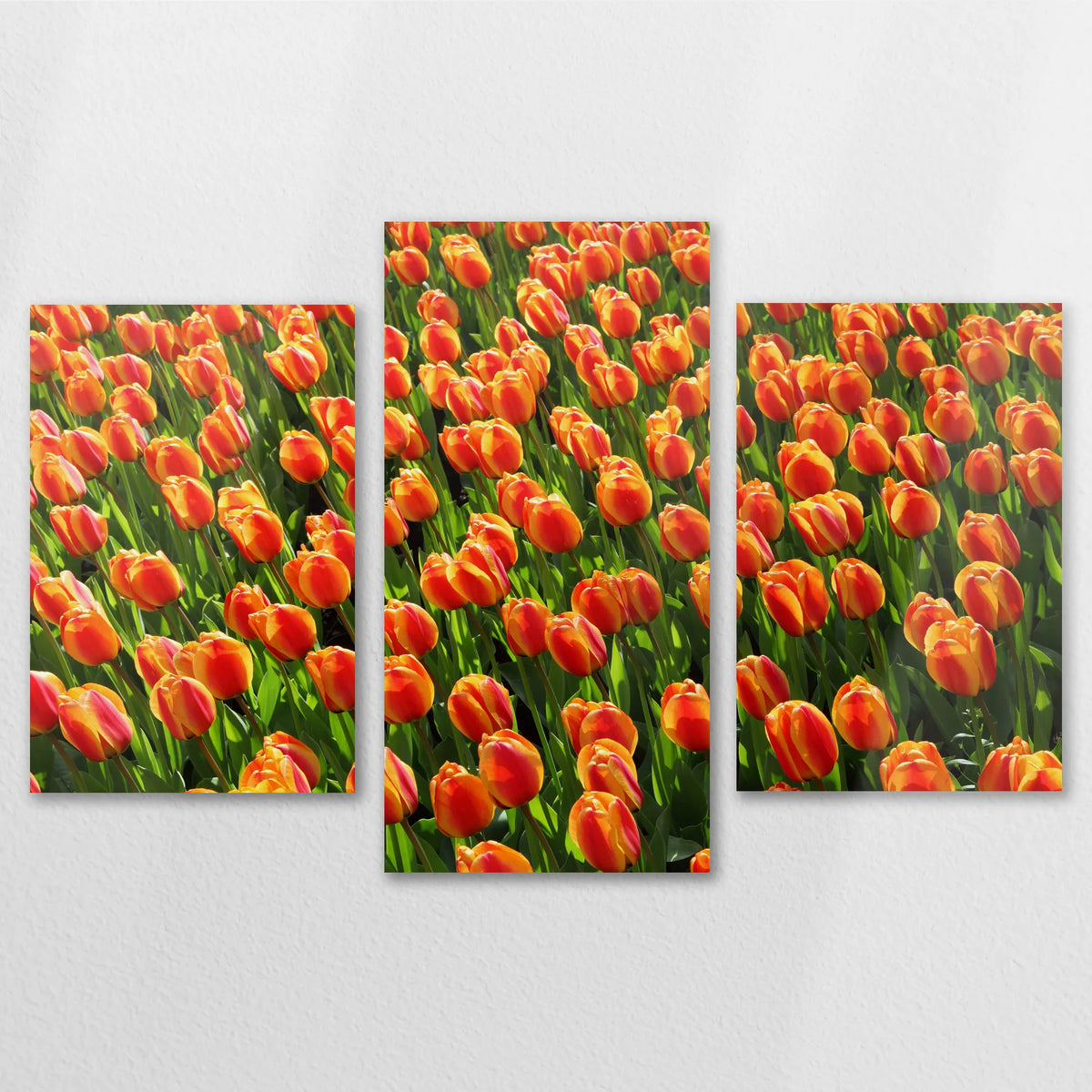 AL-120T080